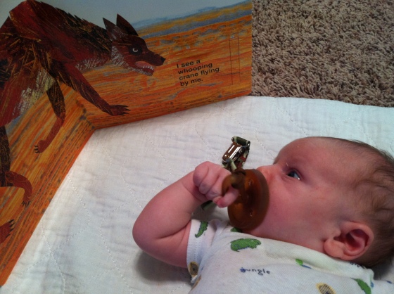 we love staring at books. and ripping the paci out of our own mouth. 